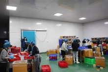 Dak Lak province currently hosts 17 durian processing enterprises equipped with freezing and cold storage facilities, with a combined annual capacity of approximately 120,000 tonnes. (Photo: VNA)