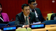 Ambassador Dang Hoang Giang, Permanent Representative of Vietnam to the United Nations. (Photo: VNA)
