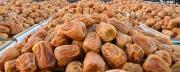 Dates Carnival Provides Transport, Shipping Across Saudi Arabia, Gulf Countries