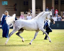 Eighth International Arabian Horse Show Concludes