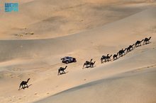 Dakar Rally: A Testament to Human Endurance and Discovery