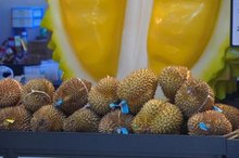 Vietnamese durians gaining popularity across China