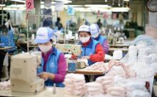 So far, the EU has launched 14 trade defence investigations on products imported from Vietnam. Illustrative image (Source: VNA)