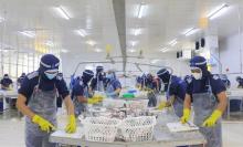 Workers at Cuu Long Fish JSC in An Giang province (Photo: VNA)