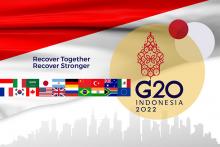 G20 Indonesia, 