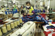 At a garment factory in Hanoi's outlying district of Dan Phuong (Photo: VNA)