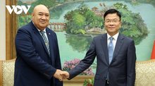 Vietnam pursues free hospital care, stronger disease prevention: Deputy PM