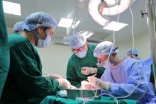 Vietnam achieves extraordinary feats in organ transplantation