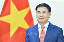 Vietnamese Ambassador to Japan Pham Quang Hieu (Photo: VNA)