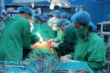 Vietnam reaches new height in organ transplantation