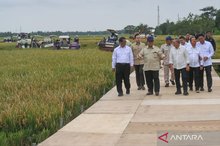 Indonesia’s President Prabowo Subianto (third left) inspects rice fields in Cilebar, Karawang, West Java, on Wednesday (Jan. 7, 2026). (ANTARA)