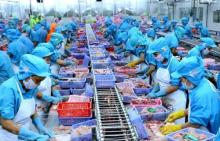 Aquatic products are subject to a lot of incentives in the European Union – Vietnam Free Trade Agreement (EVFTA).(Photo: VNA)