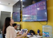 Investors watch the market's movements at a trading office of a securities firm. — VNA Photo 