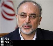 Salehi: Iran attaches importance to expansion of ties with Africa 