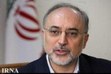 Salehi Stresses Need To Help Syrian Govt To Execute Reforms 