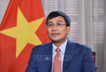 Deputy Minister of Foreign Affairs Nguyen Minh Vu. (Photo: VNA)