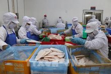 Vietnam’s fishery sector diversifies export markets and products amid global trade challenges