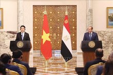 Vietnamese, Egyptian Presidents meet with the press following talks in Cairo
