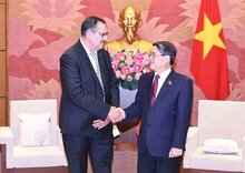 Vietnam treasures long-standing friendship with Algeria: NA Vice Chairman