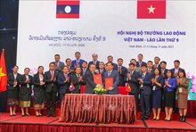 Vietnam, Laos hold 9th ministerial conference on labour in Ninh Binh