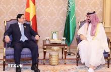 Vietnam-Saudi Arabia relations on strong development momentum