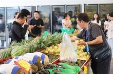 Vietnamese fruit sales thrive in China’s booming market
