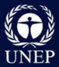 UN, Partners Launch Global Campaign To Reduce Food Waste 
