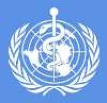 UN Health Agency Warns Against Dangers Of Air Pollution  