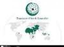 OIC Sec-Gen Condemns Use Of Chemical Weapons In Syria  