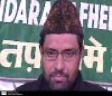 Zionists' Aggressive Policies Detrimental To Regional Peace: Scholar  