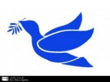 Islamic states praise strengthening of human rights foundations in Iran