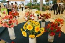Int'l flora fair opens in Tehran
