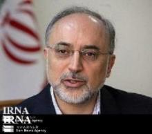 Salehi: IAEA should not focus on minor issues