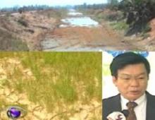 Thai Irrigation expert forewarns severe drought