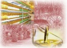 Palm oil available for Thai consumers, says Ministry