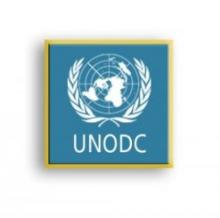 UN considers NGOs essential partners in effective drug control