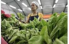 Thailand and Australia join hands to expand organic farming practices in Thailand