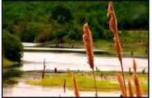Thailand's 77th province officially set up