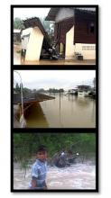Flood fatalities in Thai South rise to 21
