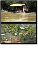 Flood victims in parts of Thai South still waiting for help