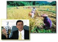 Thailand's rice trade expected to slowdown pending new election