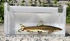 Freshwater fish found in Seoul's Cheonggye Stream