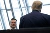 musk and trump