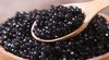 Iran’s caviar production grows by 17%