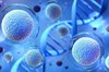 Iran is second world power in stem cells storage