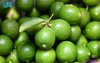 Madinah's Green Lemons: A Seasonal Delight