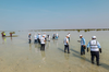 Rabigh Governorate Expands Afforestation Efforts with Smart Mangrove Trees