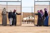 Over 60 Endangered Species Released into King Khalid Royal Reserve
