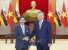 Party General Secretary To Lam (right) meets Sultan of Brunei Haji Hassanal Bolkiah in Hanoi on November 30, 2025. (Photo: VNA)