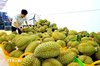 Durian, one of Vietnam's key export products to China. (Photo: VNA)